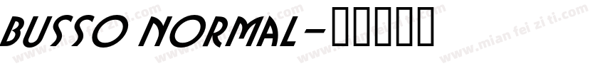 Busso Normal字体转换